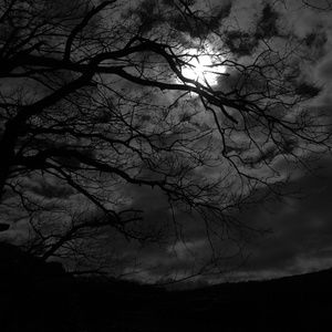 Meet your Posher, Zion